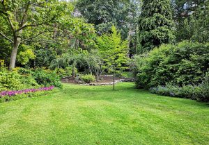 Optimiser l'expérience du jardin à Montegut-Saves